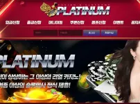 플래티넘카지노(PLATINUM CASINO)