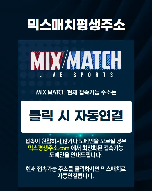 믹스매치(MIX MATCH)